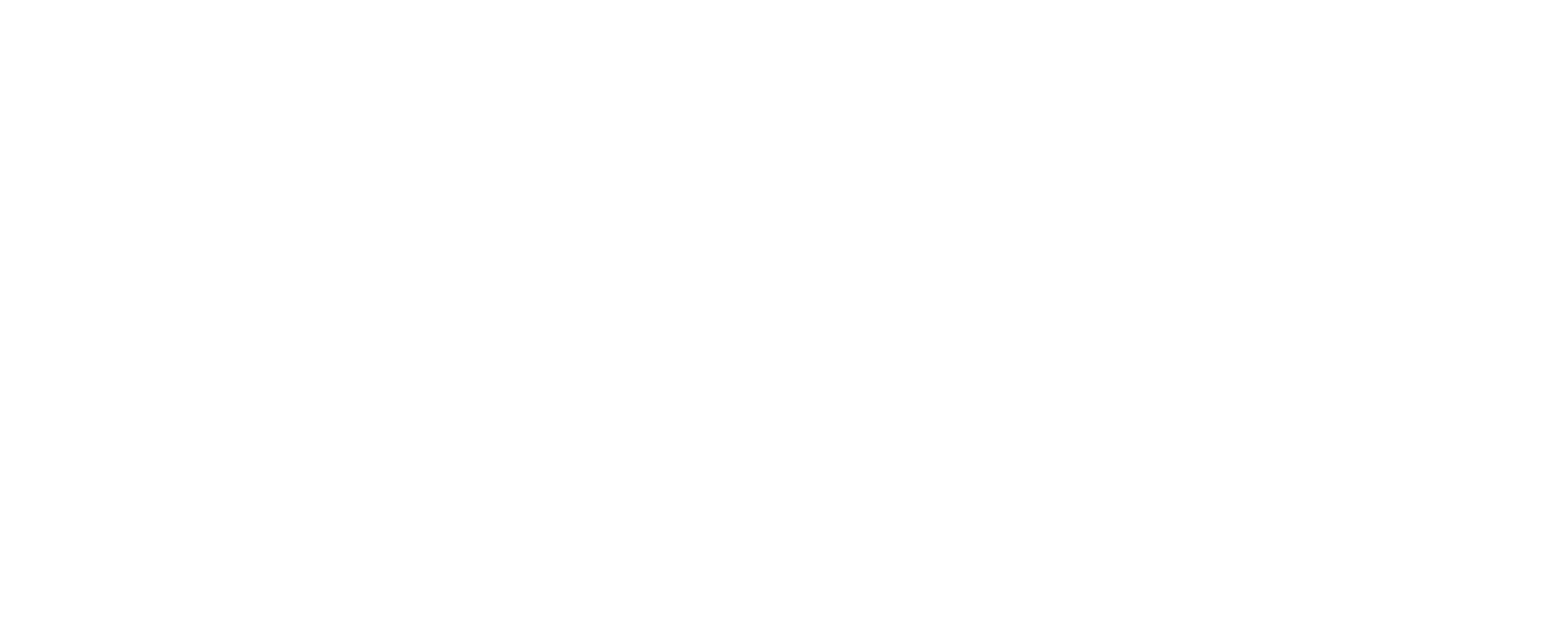 adana lastik